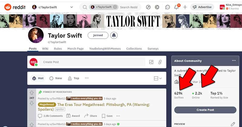 Join Taylor Swift fan club on Reddit