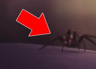 bad idea right review & meaning.